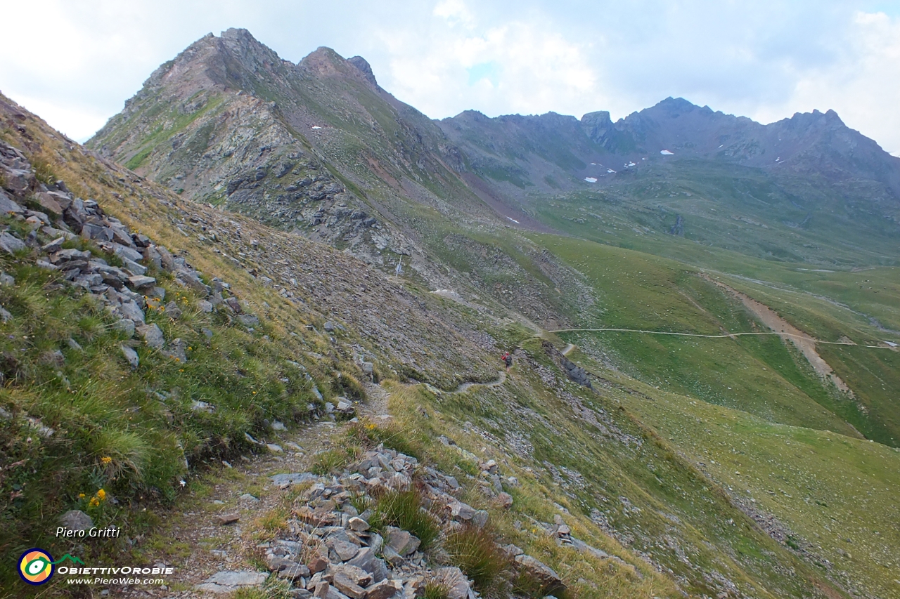 87 scendiamo alla Forcellina di Montozzo....JPG